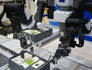 Blog 2 Tipos de robots paletizadores