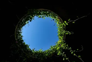 Blog 2 economía circular en el packaging industrial