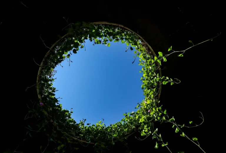 Maquinaria para embalaje 30 economía circular en el packaging industrial